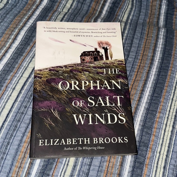 The Orphan of Salt Wind by Elizabeth Brooks​ - Picture 1 of 3